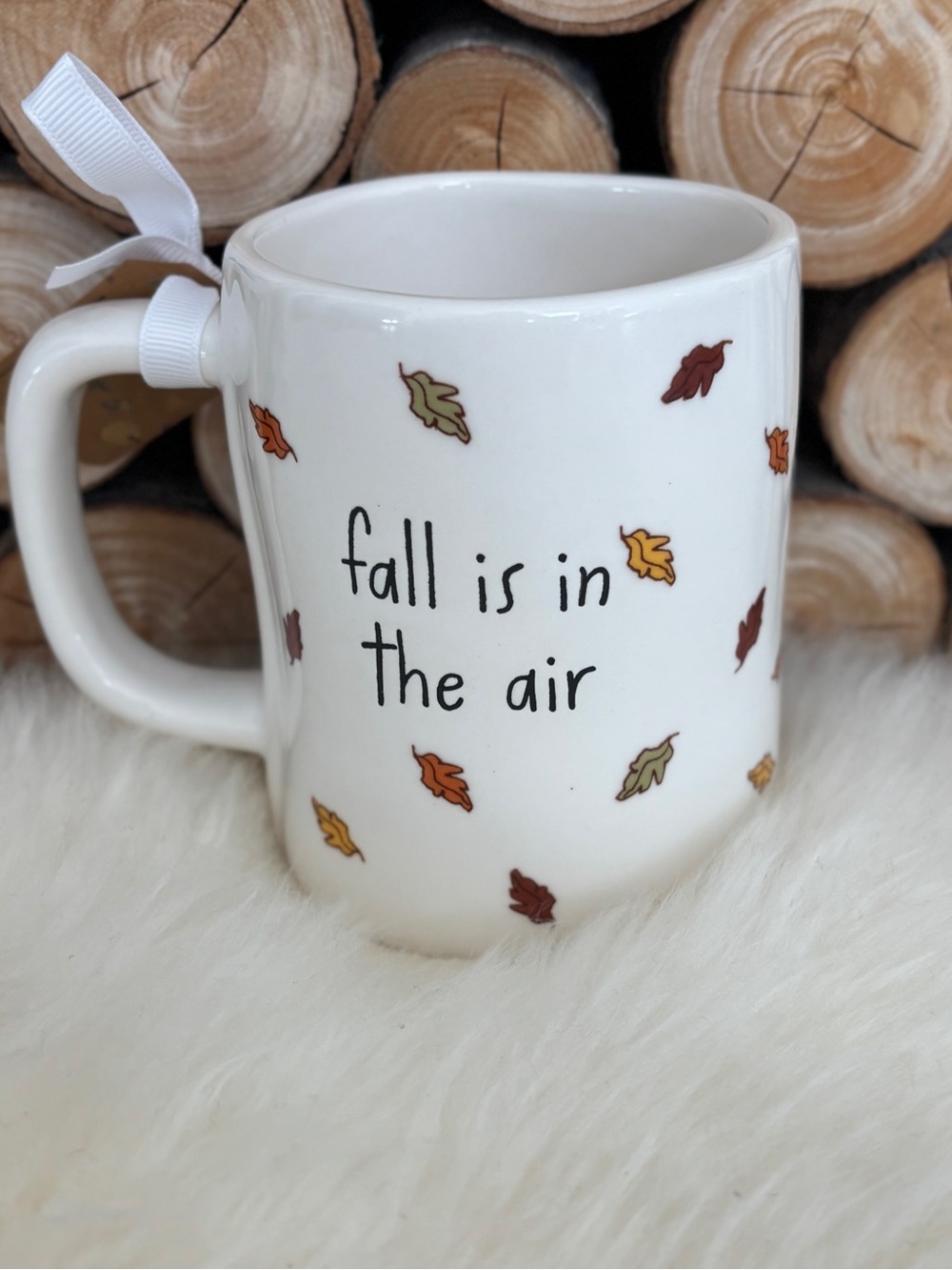 Peanuts x Rae Dunn Snoopy Plaid Autumn Mug Fall is in the Air - Picture 3 of 12